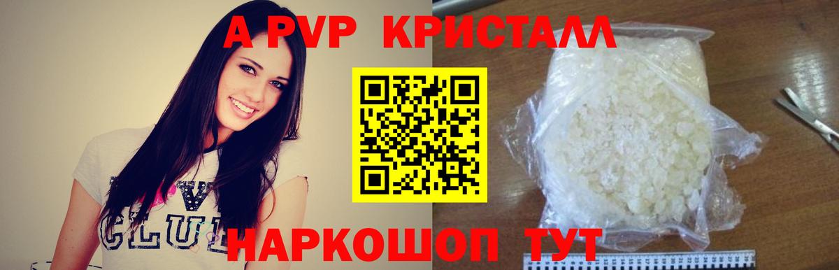 A-PVP СК КРИС Прокопьевск