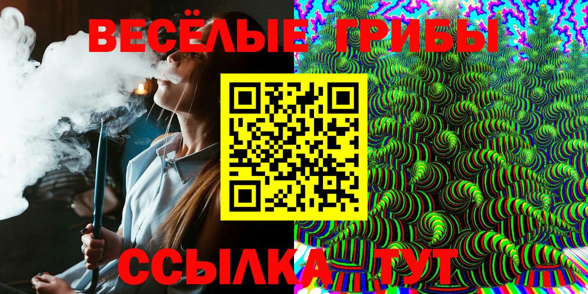 Прокопьевск  Галлюциногенные грибы Psilocybe  Вход с VPN 
